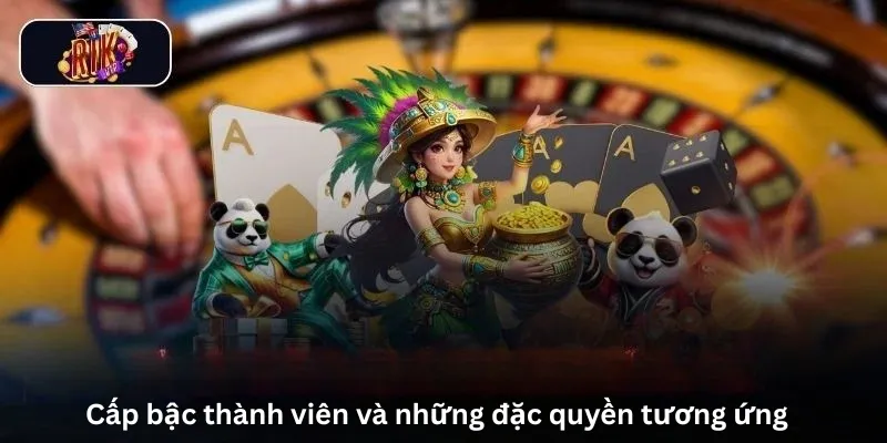 Trang chủ 17 Cấp bậc thành viên và những đặc quyền tương ứng